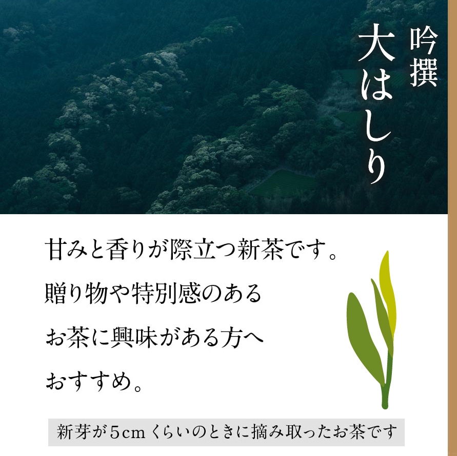 Gill様　茶箱一式　期間限定セール終了しました 吟撰大はしり[限定新茶]｜きみくらオンラインショップ