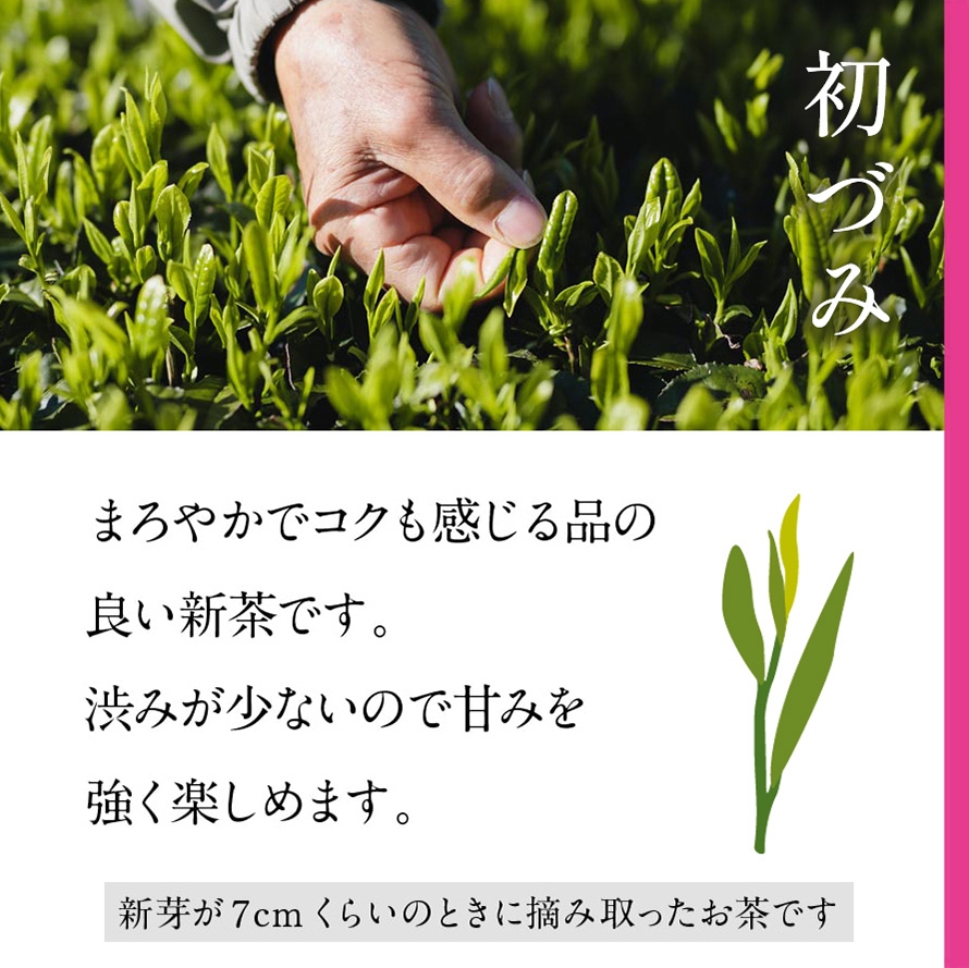 限定新茶 選べる満喫セット｜きみくらオンラインショップ
